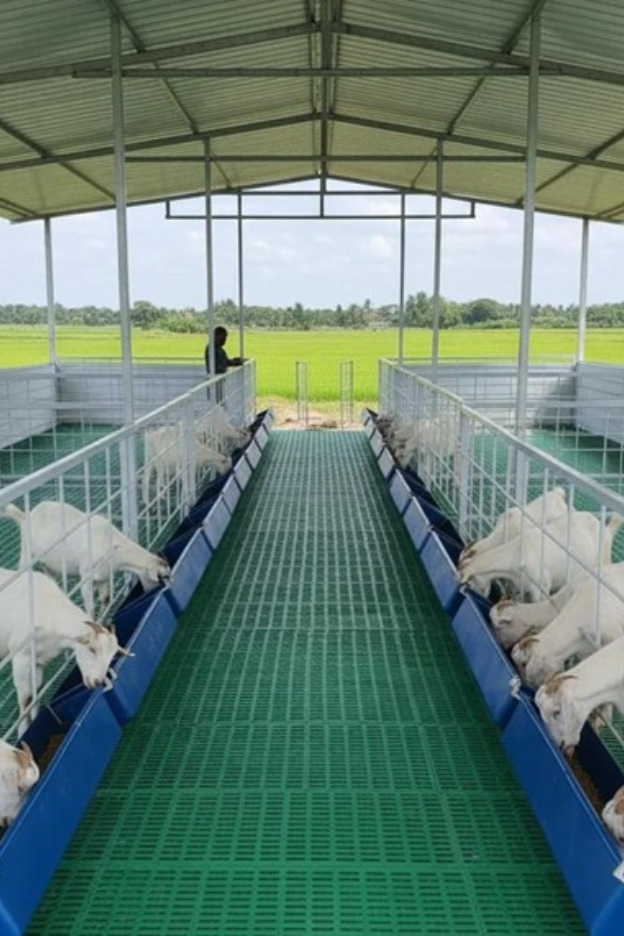 Professional Boarding & Lodging for Livestock in Bangalore